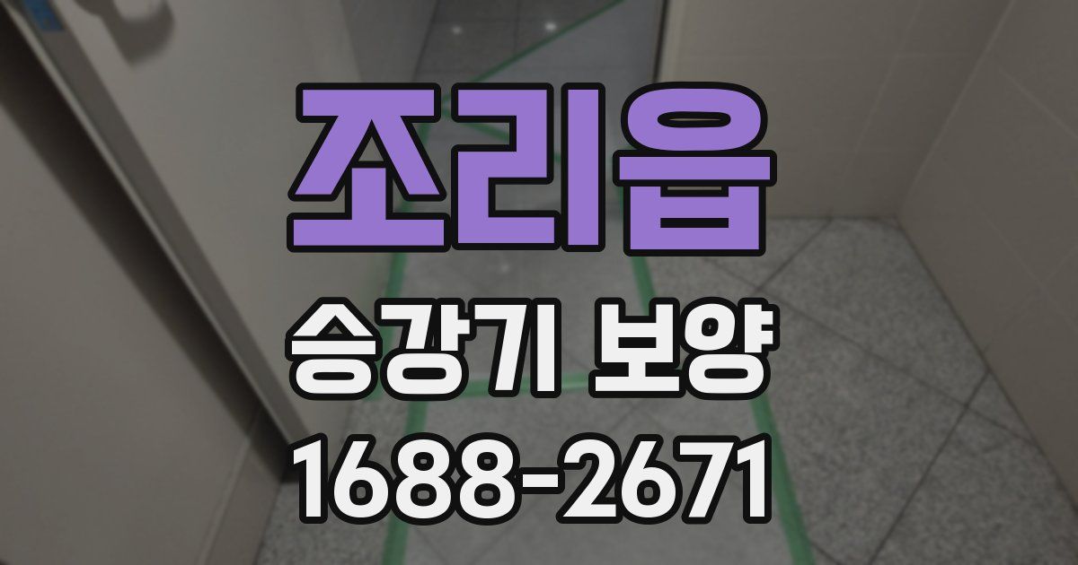 조리읍 승강기 보양