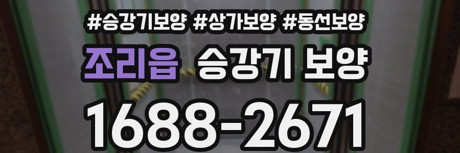 조리읍 승강기 보양