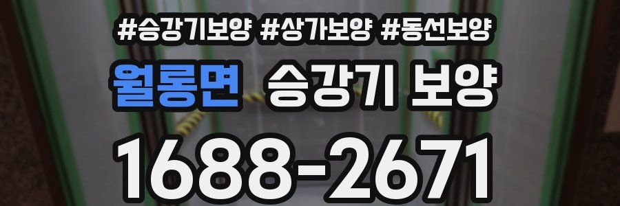 월롱면 승강기 보양