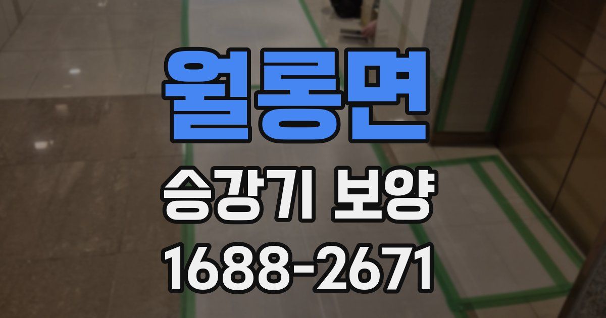 월롱면 승강기 보양