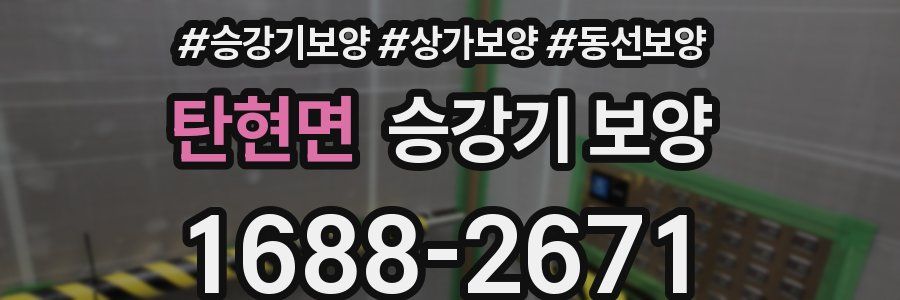 탄현면 승강기 보양