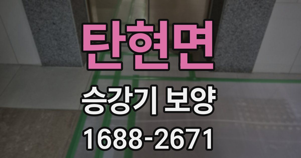 탄현면 승강기 보양