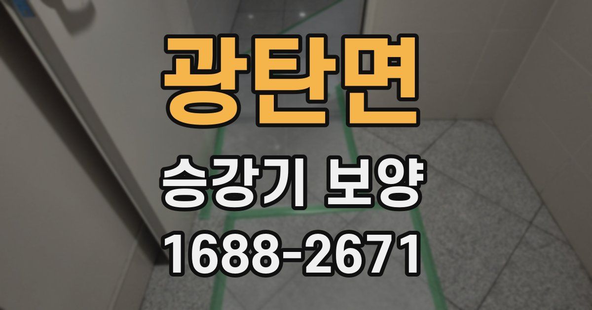 광탄면 승강기 보양