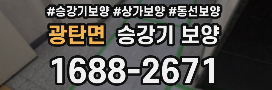 광탄면 승강기 보양