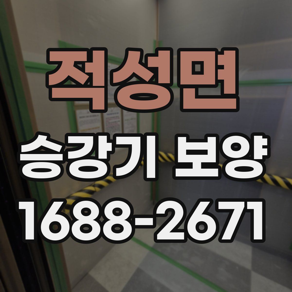 적성면 승강기 보양