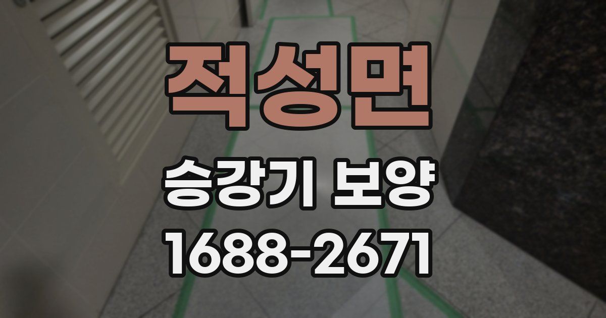 적성면 승강기 보양