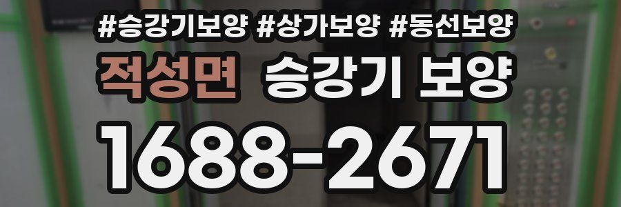 적성면 승강기 보양