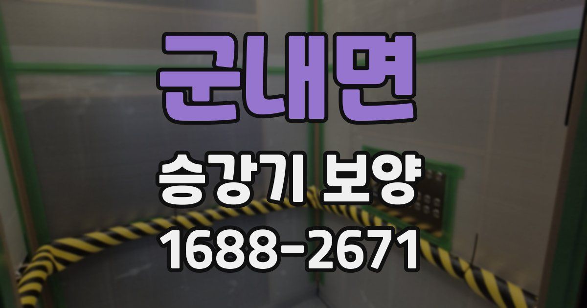 군내면 승강기 보양
