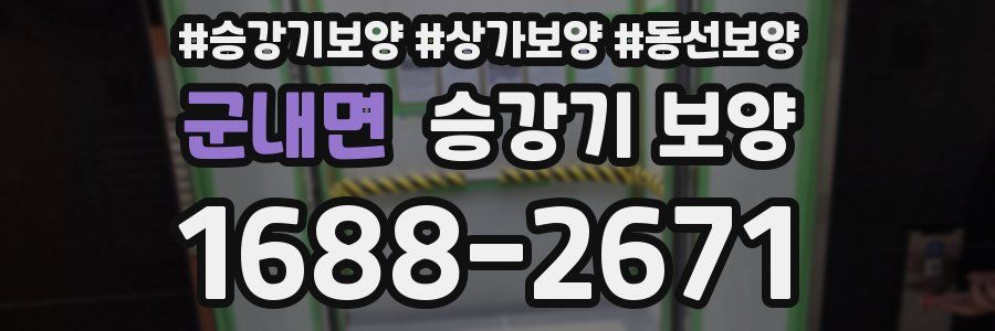 군내면 승강기 보양