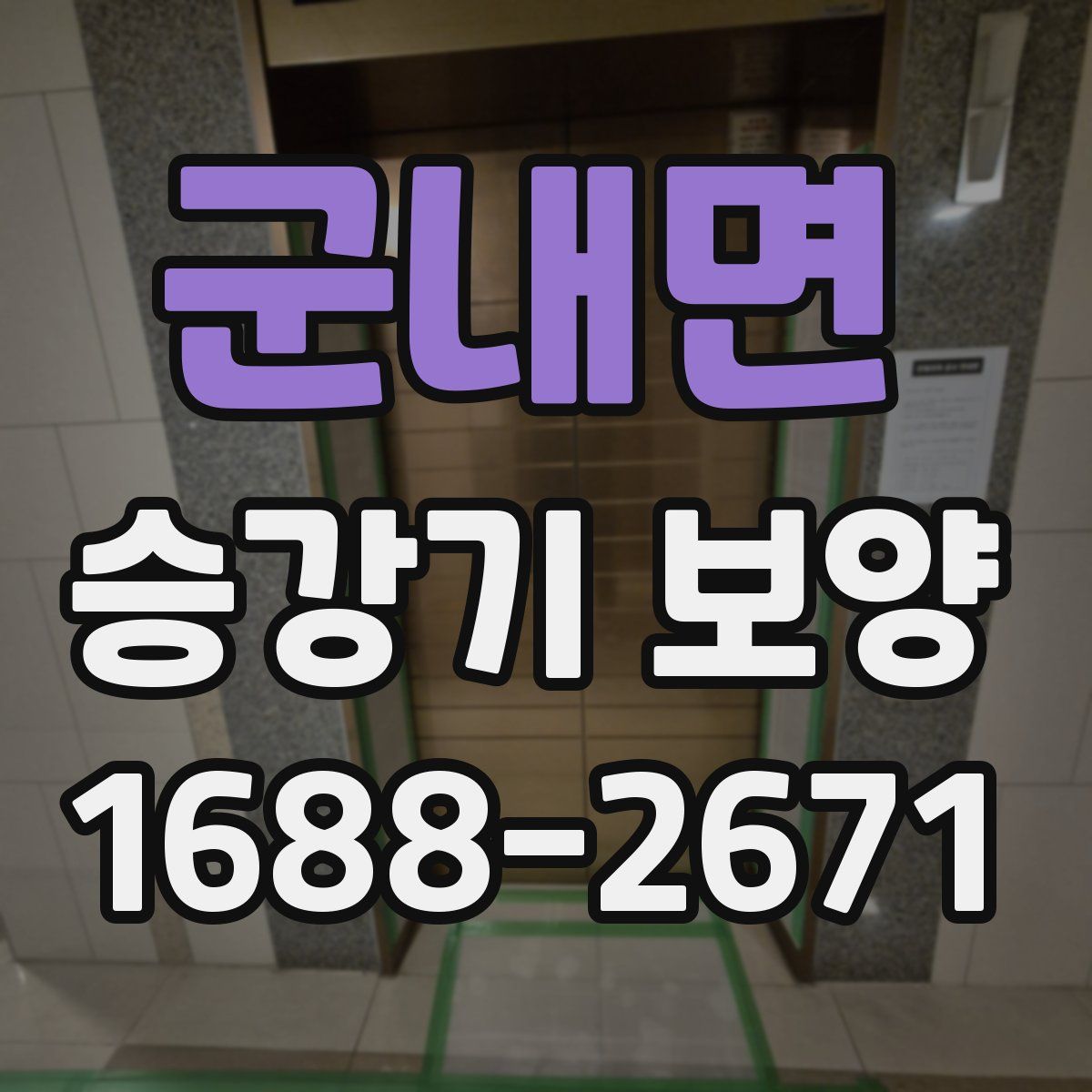 군내면 승강기 보양