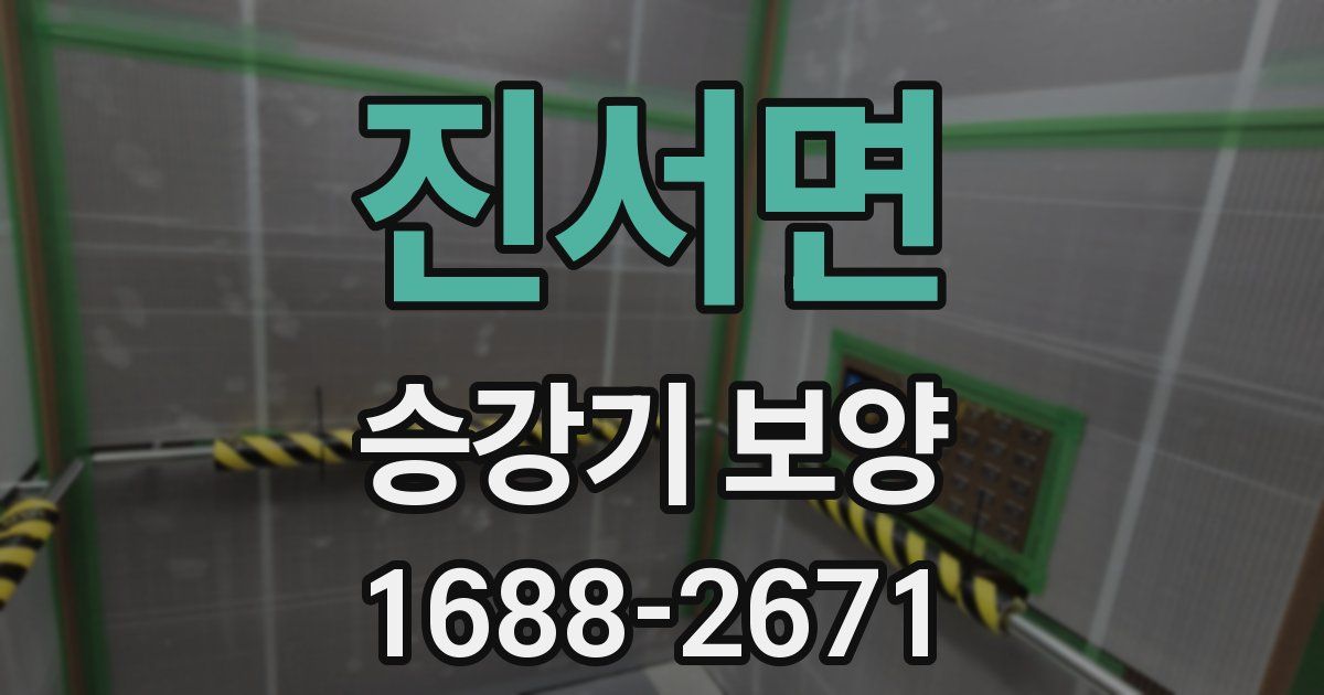 진서면 승강기 보양