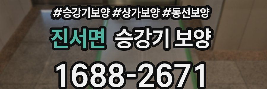 진서면 승강기 보양