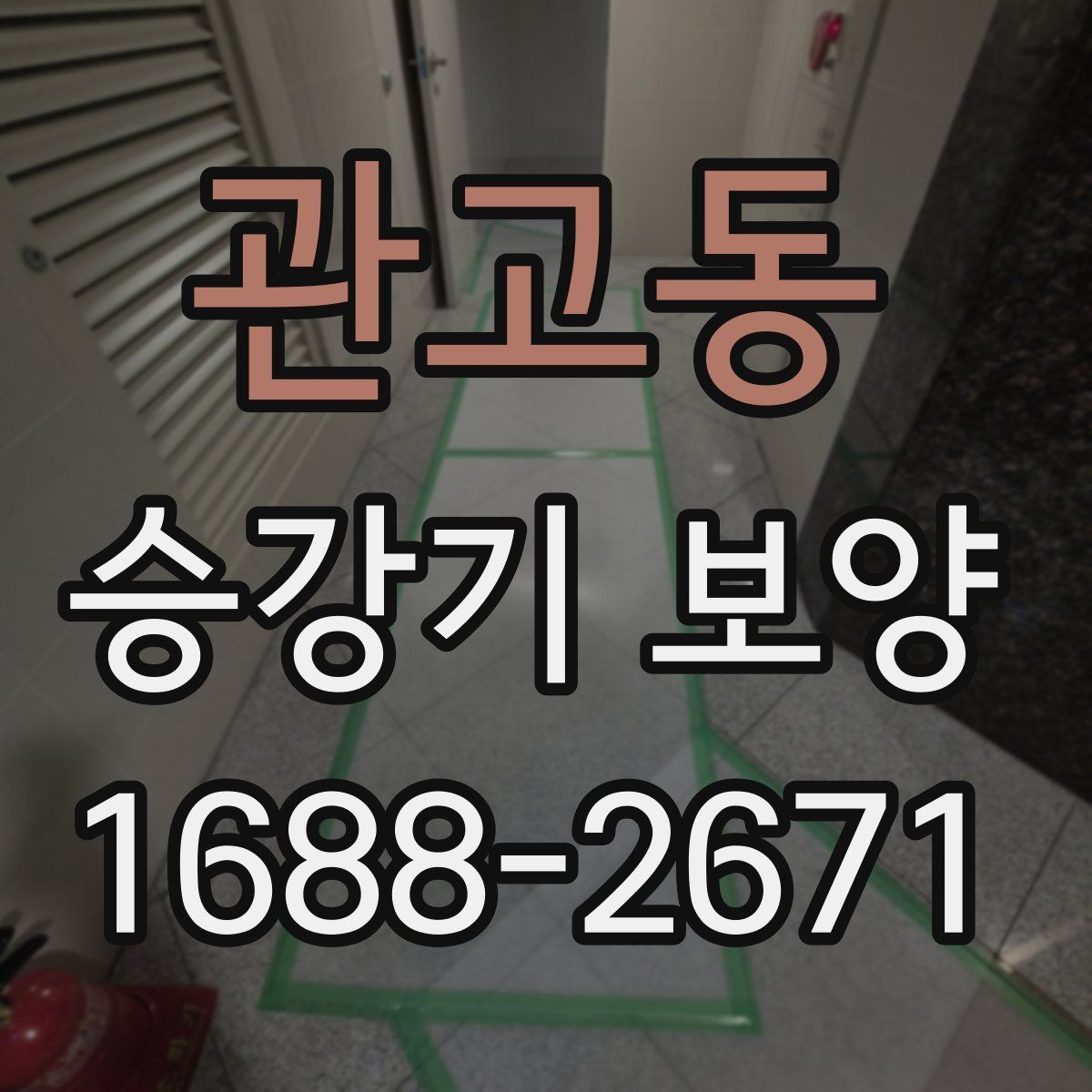 관고동 승강기 보양