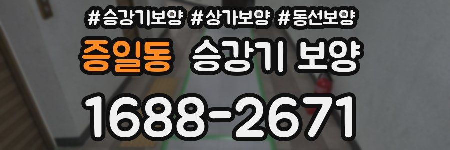증일동 승강기 보양