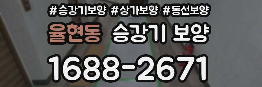 율현동 승강기 보양