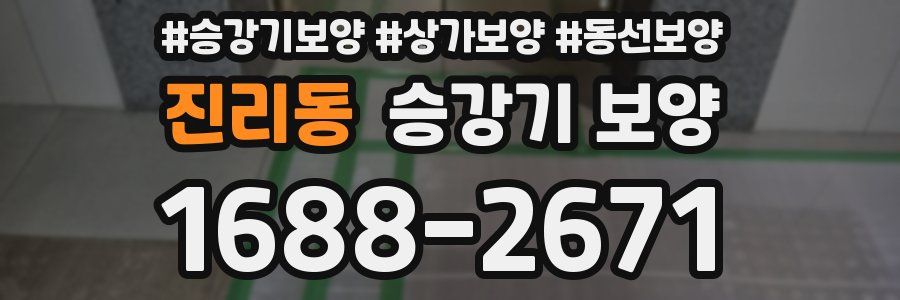 진리동 승강기 보양