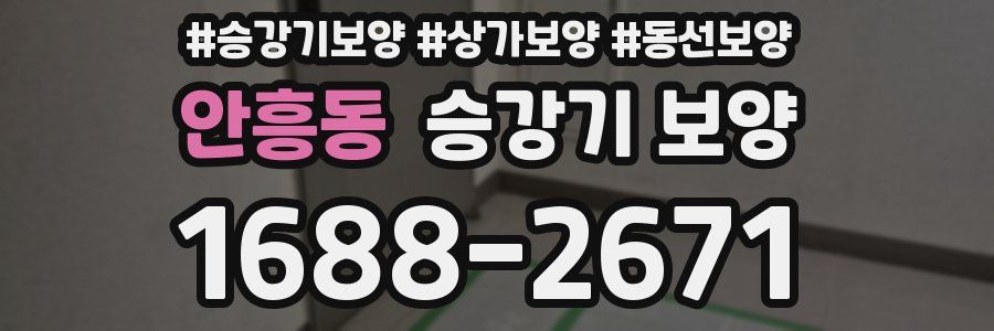 안흥동 승강기 보양