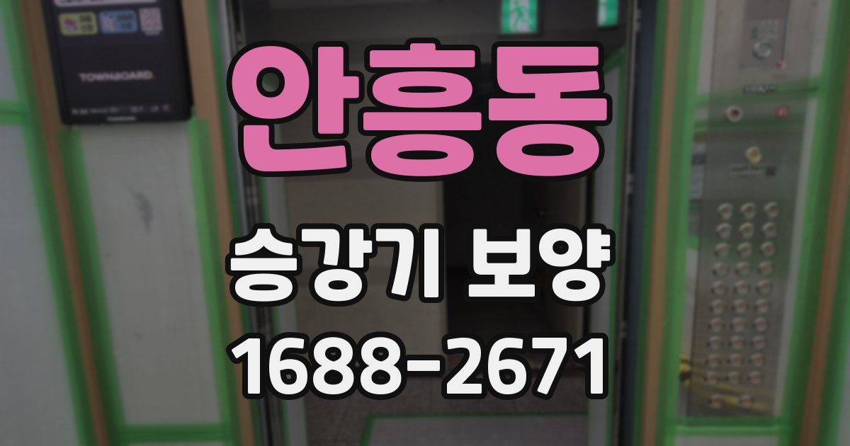 안흥동 승강기 보양