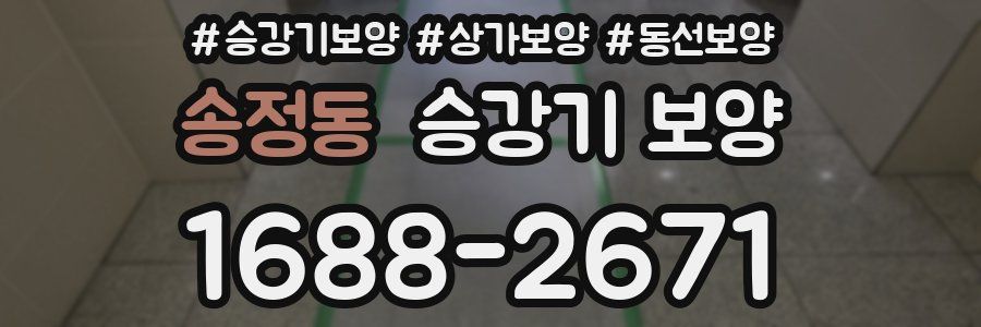 송정동 승강기 보양