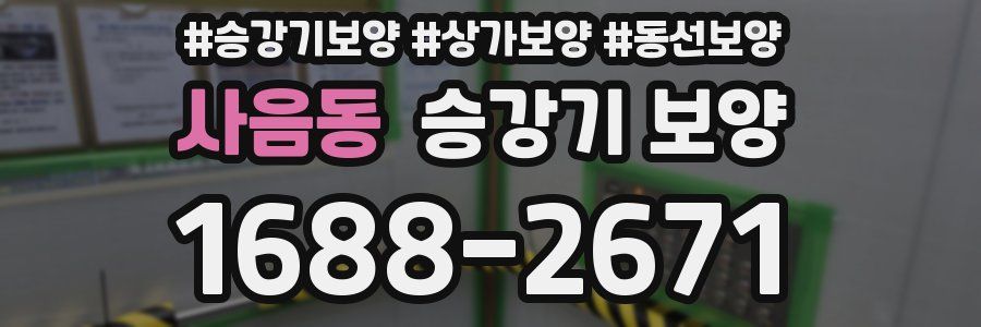 사음동 승강기 보양