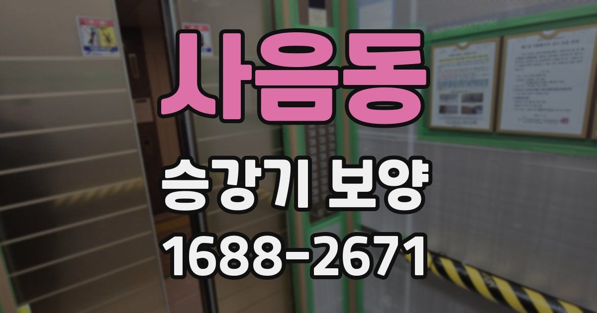 사음동 승강기 보양