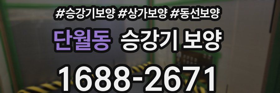 단월동 승강기 보양