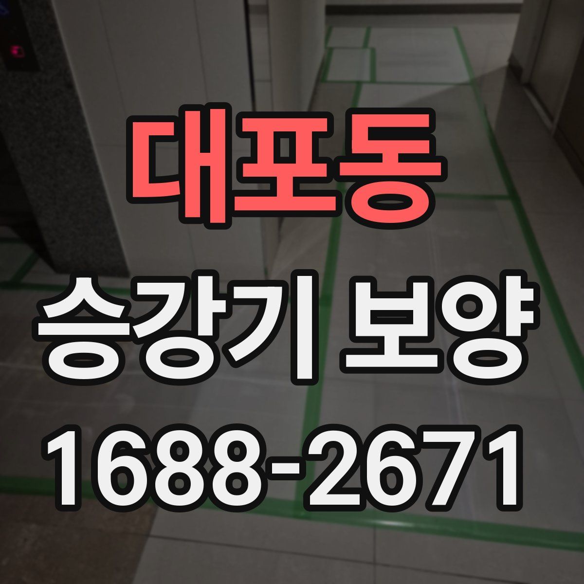 대포동 승강기 보양