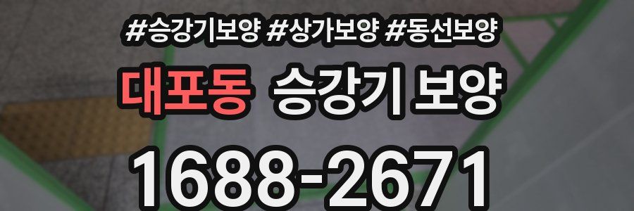 대포동 승강기 보양