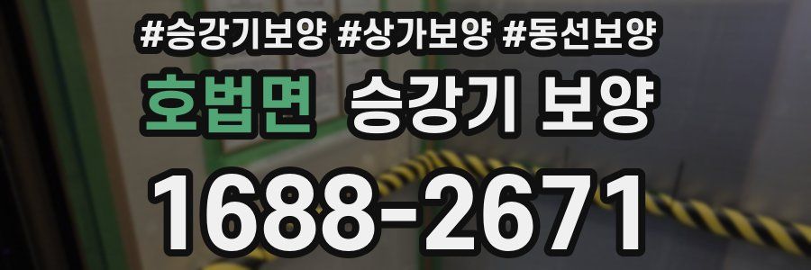호법면 승강기 보양