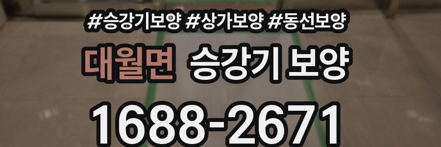 대월면 승강기 보양