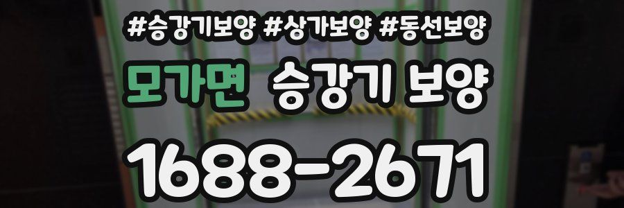 모가면 승강기 보양