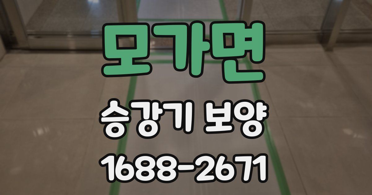모가면 승강기 보양
