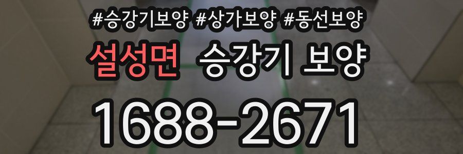 설성면 승강기 보양