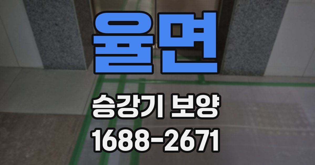율면 승강기 보양
