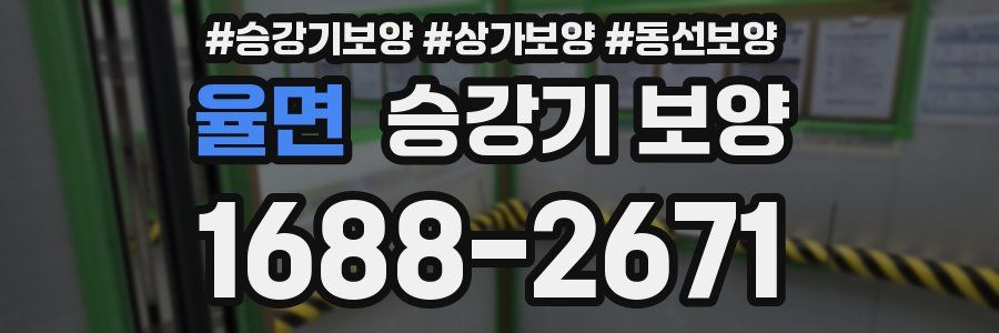 율면 승강기 보양
