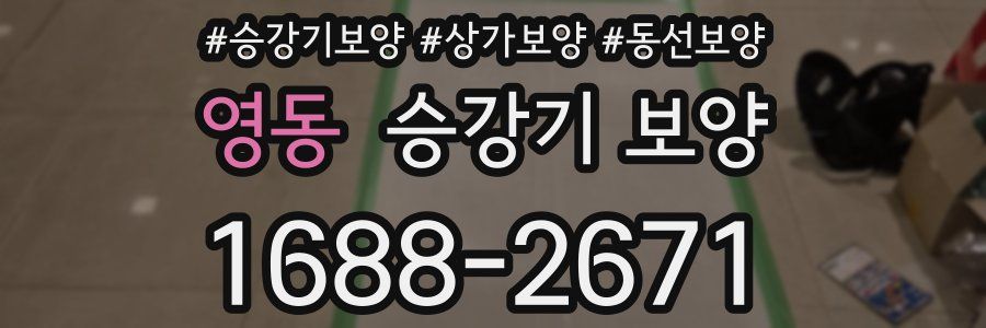 영동 승강기 보양