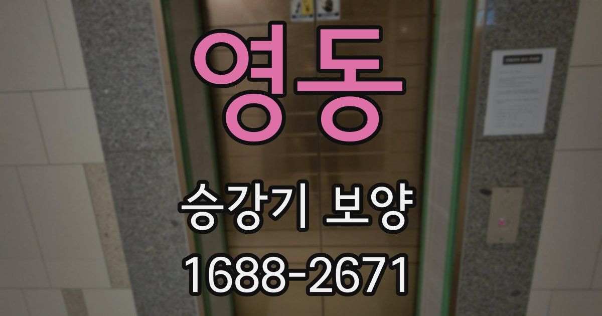 영동 승강기 보양