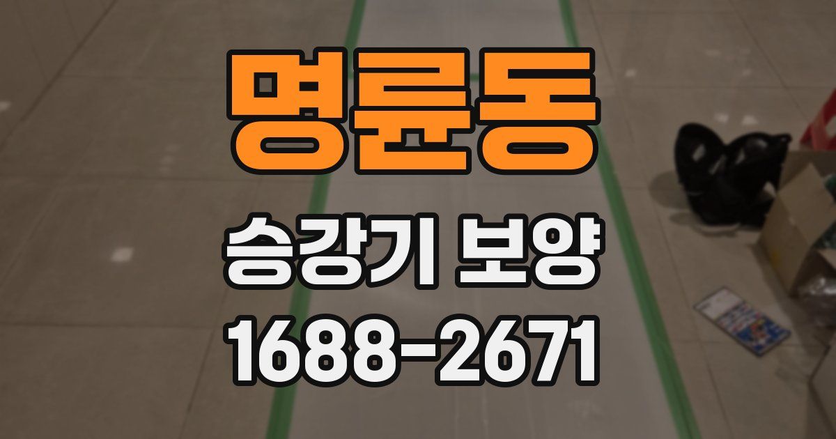 명륜동 승강기 보양