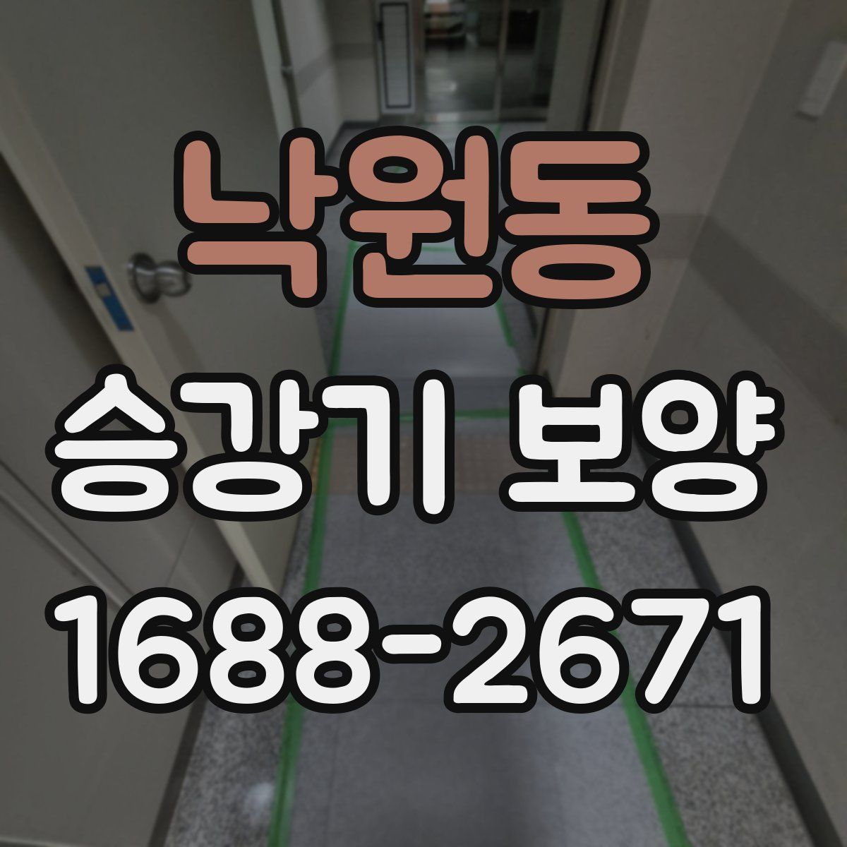 낙원동 승강기 보양