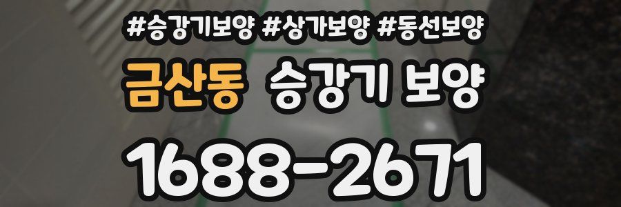 금산동 승강기 보양