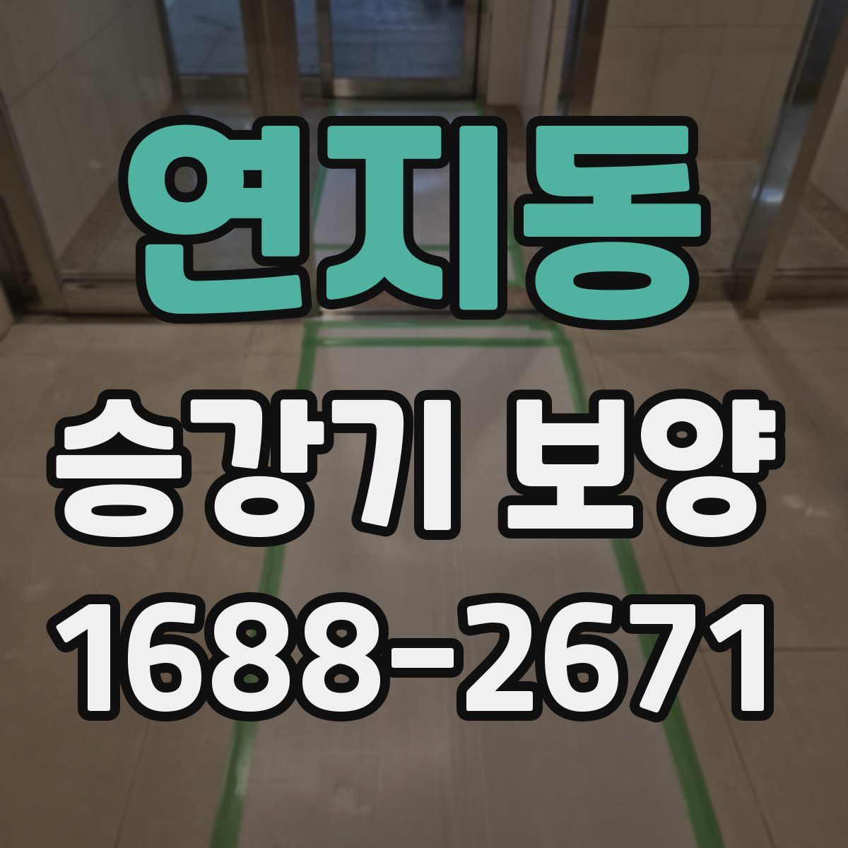 연지동 승강기 보양