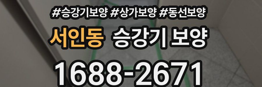 서인동 승강기 보양