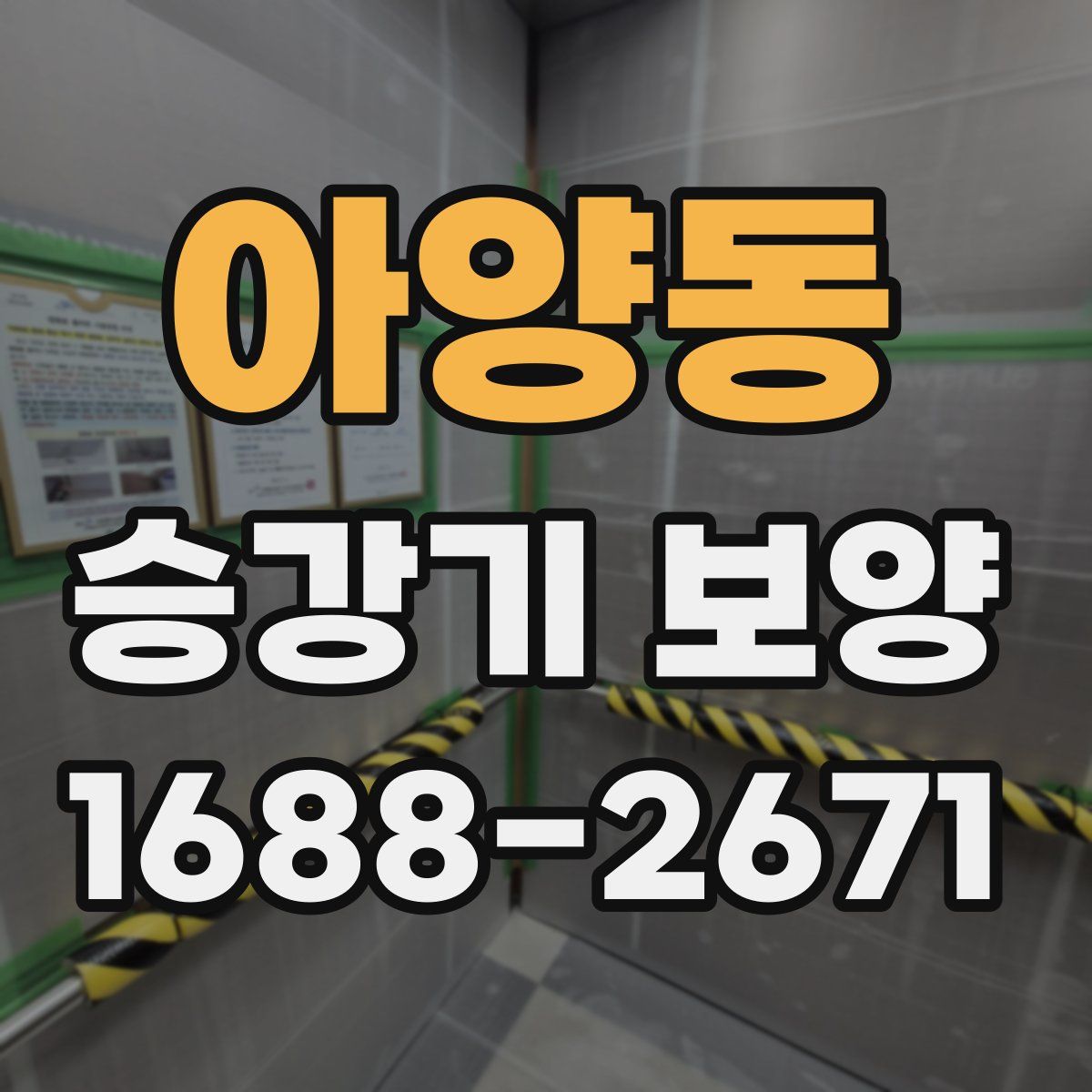 아양동 승강기 보양