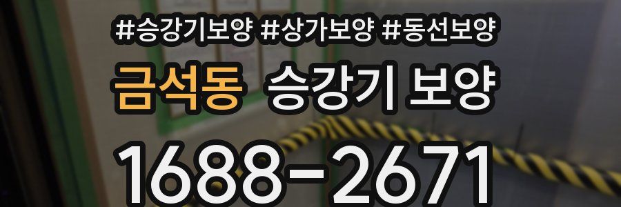 금석동 승강기 보양