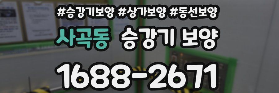 사곡동 승강기 보양