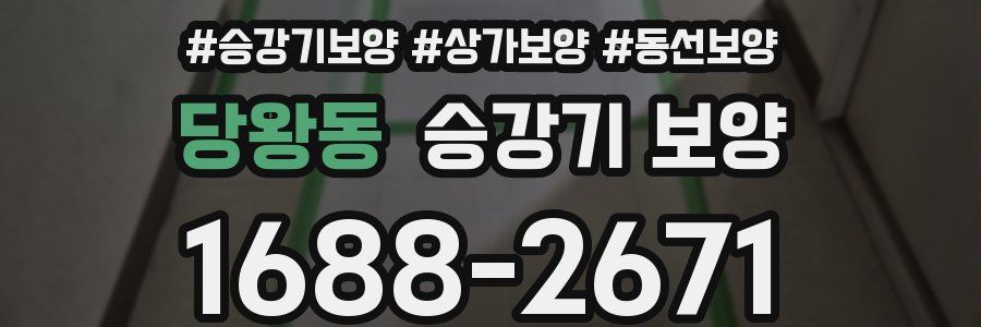 당왕동 승강기 보양