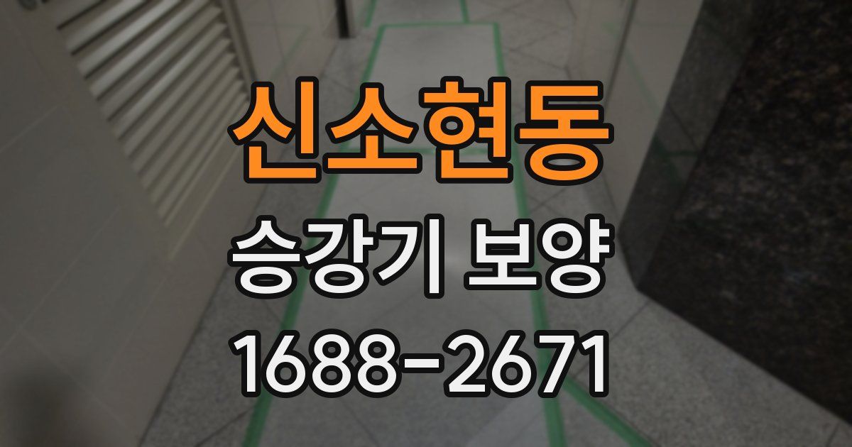 신소현동 승강기 보양