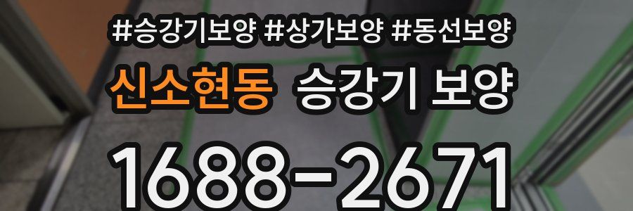 신소현동 승강기 보양