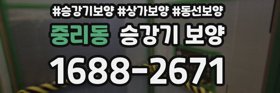 중리동 승강기 보양
