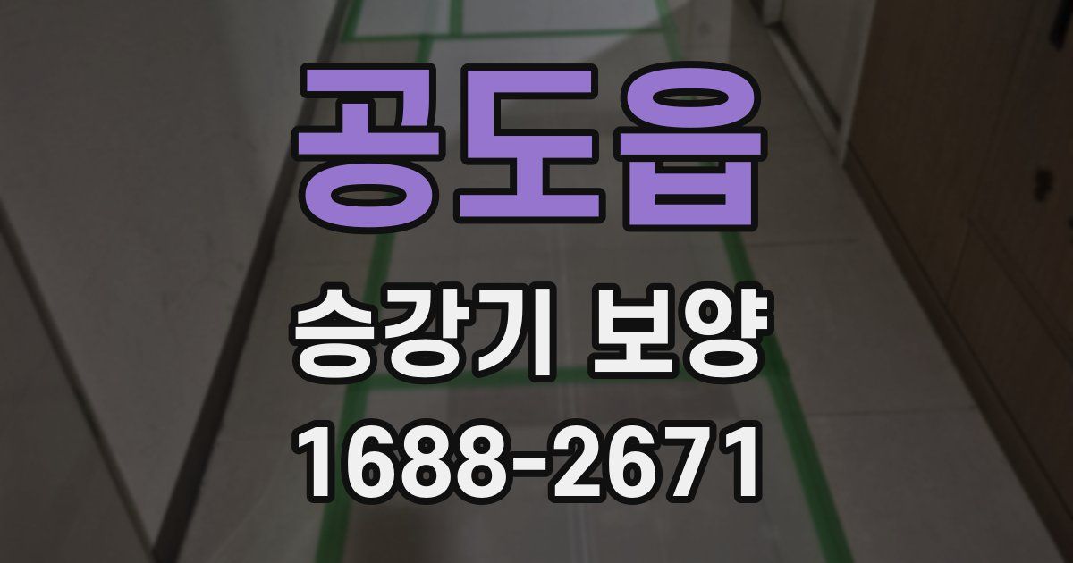 공도읍 승강기 보양